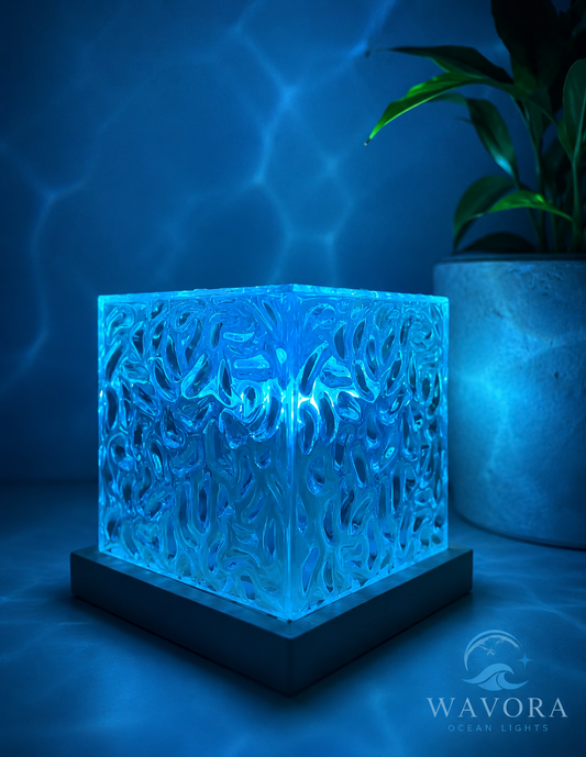 Wavora™ | Ocean Cube